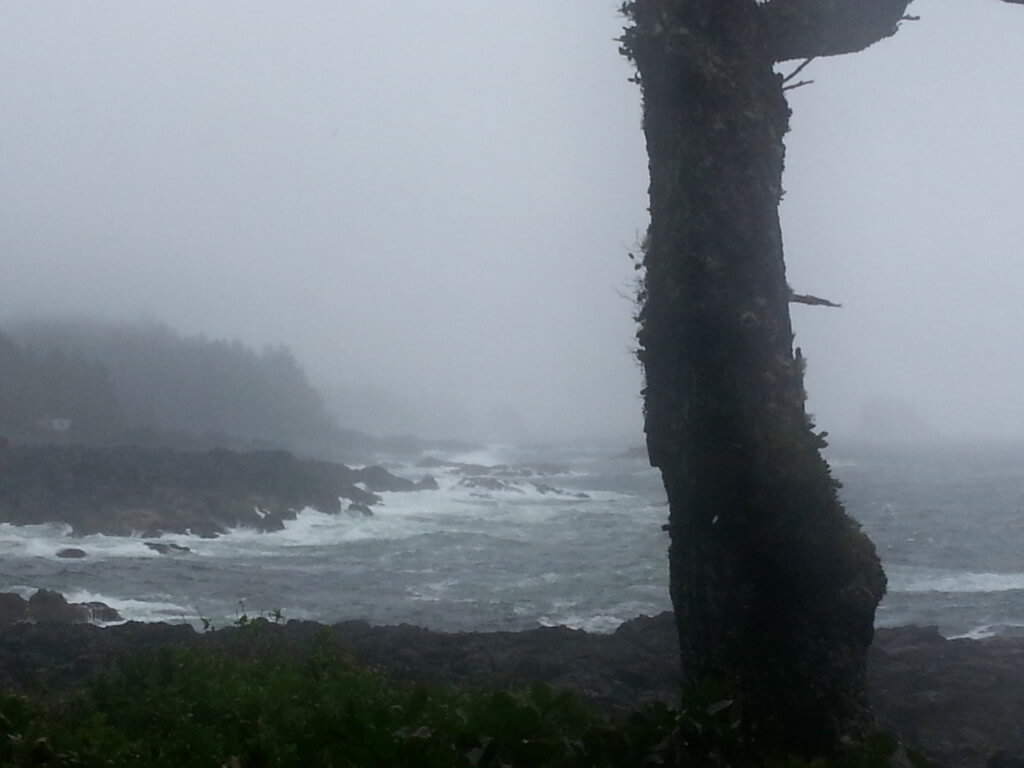 Ucluelet Walk