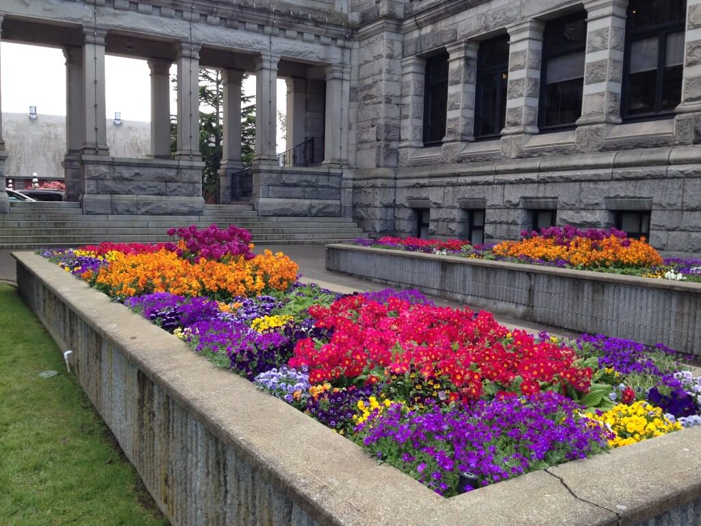 Parliament House Garden