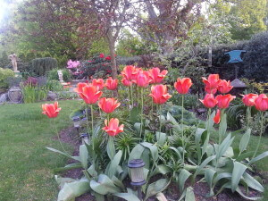 7 garden outside our room