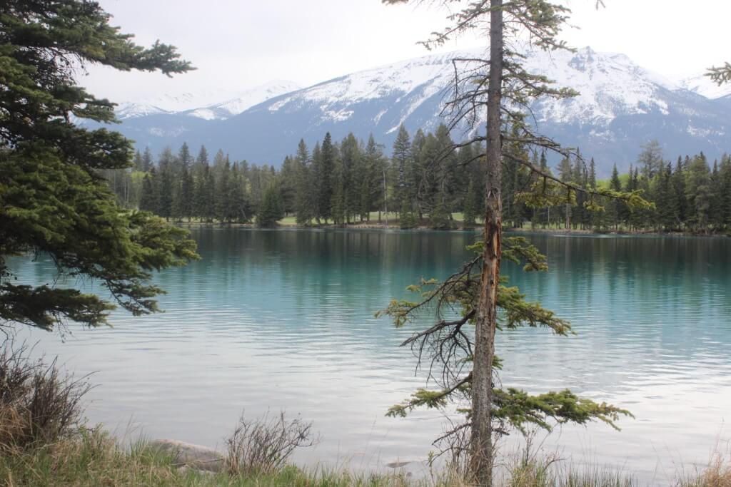 Blog26 Lac Beauvert walk4