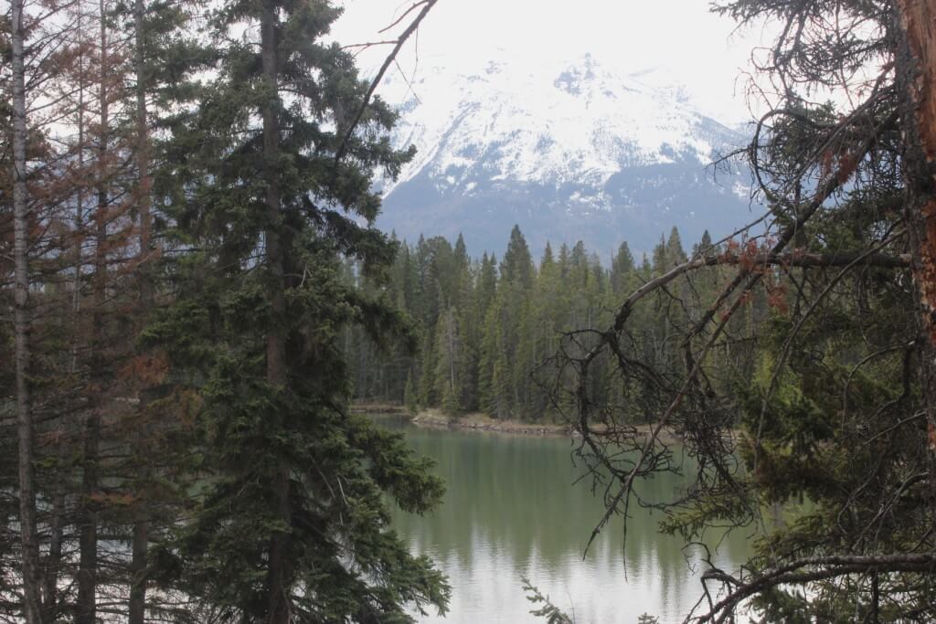 Blog26Lac Beauvert walk