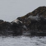 Blog33 3 Seals