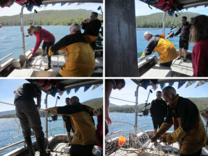 Blog38 Crabbing combined