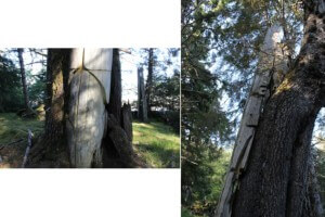 Blog42 5combine_images