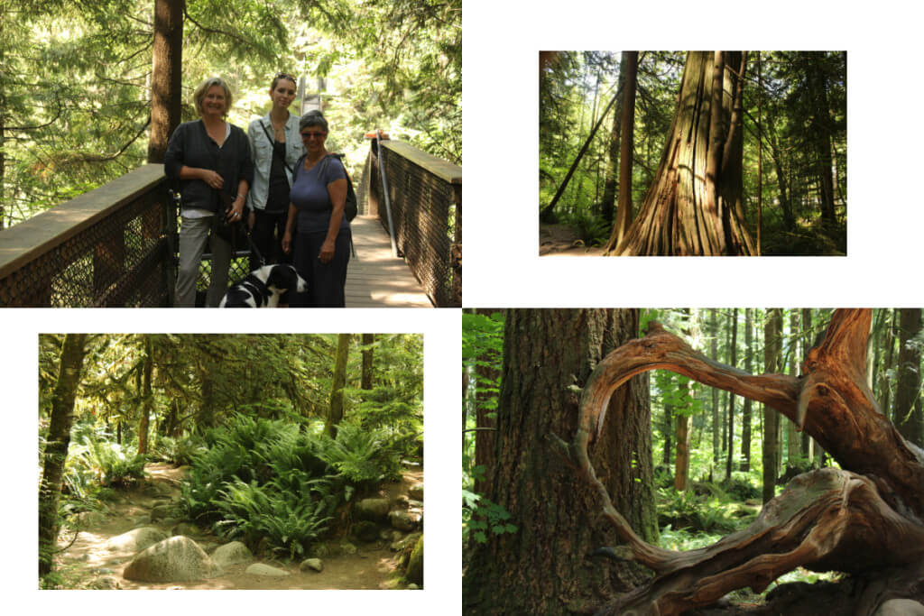 Blog49 Lynn2 combined