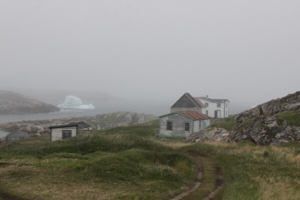 We Love Battle Harbour – Day 75