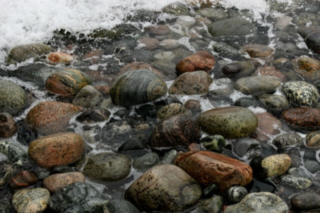 Last Day Of Our Newfoundland Tour – Canada Day 79