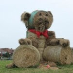 Hay bear in Community Garden opposite Hotel