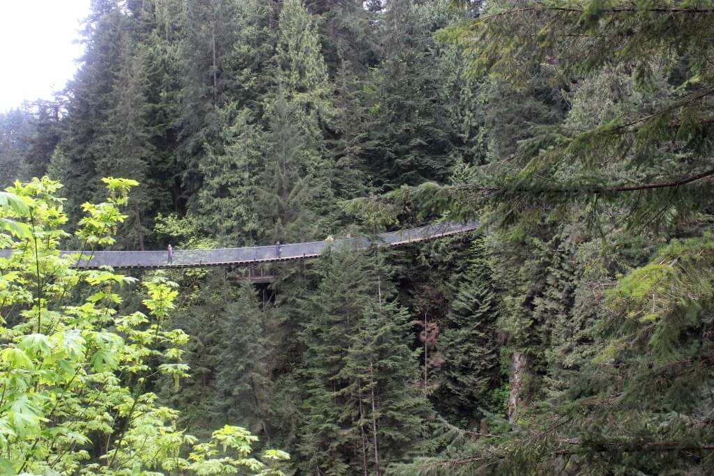 Capilano Suspension Bridge