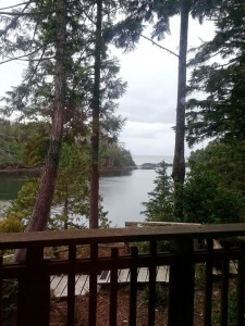 Ucluelet He-Tin-Kis out our window