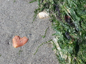 Vancouver Beach walk