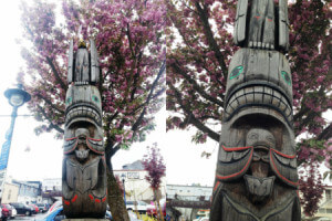 totem1combine_images