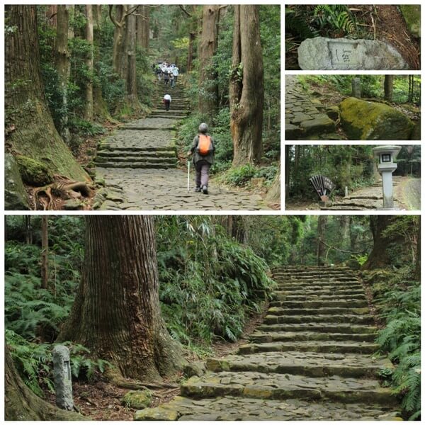 Blog 241015Daimon Zaka Collage