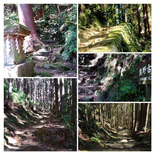 Blog 261015 HonguWalk-COLLAGE