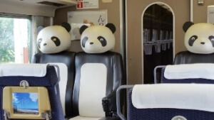 Special panda seats in carriage