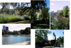 Central Park NYC