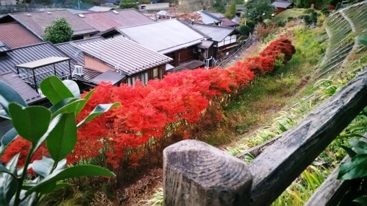 Blog Nakasendo day 1