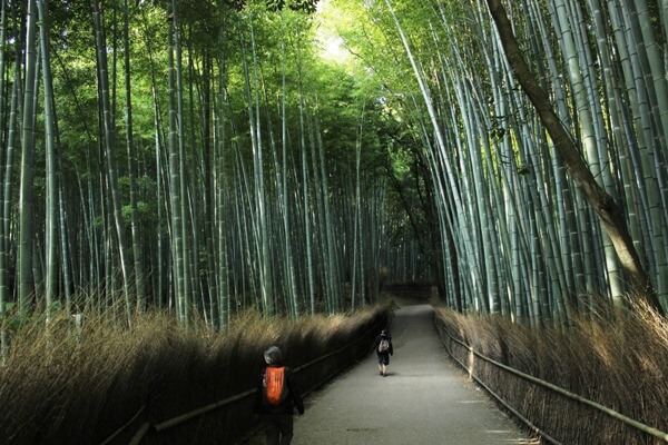 A Day in Arashiyama