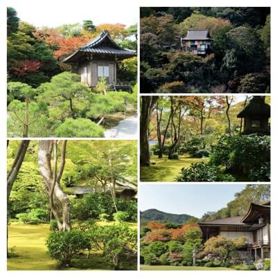 blog 011116 Villa Collage