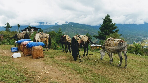 Druk Path Trekking Bhutan Day 1 – 2
