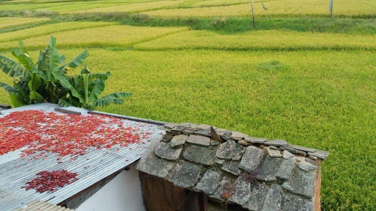 Farmstay Bhutan Style