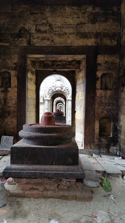 11-lingam