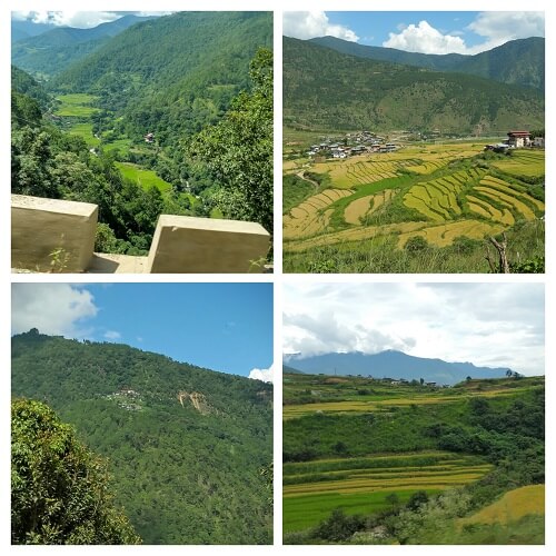 14-collage-road-to-punakha