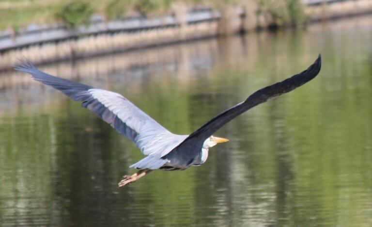 Wrenbury to Llangollen – A Beginners Narrow Boat Tale