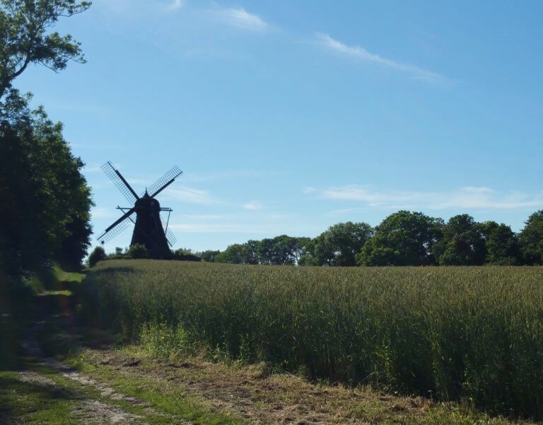 Hanging Out in Södra Sandby