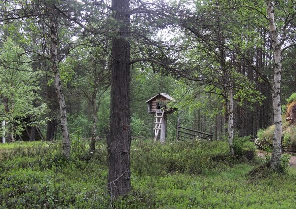 Learning about Culture and Lifestyle of the Sami – Inari
