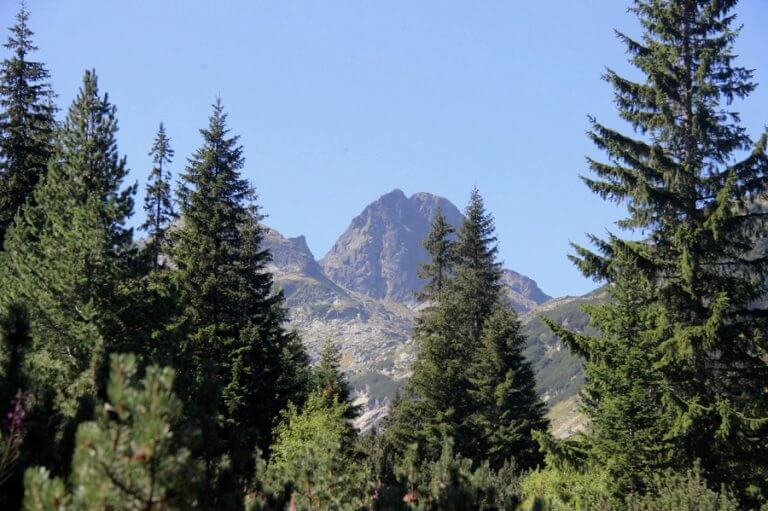 Music for a Bulgarian Road Trip