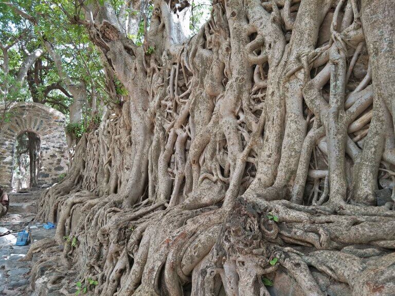 Gondar A History Tour