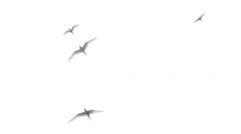 I See the Arctic Circle – North Iceland