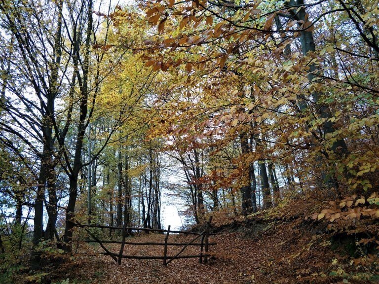 Autumn in the Balkan Mountains Bulgaria