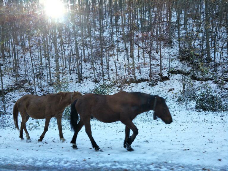 Northern Bulgarian Villages – Tetoven and Glozhene