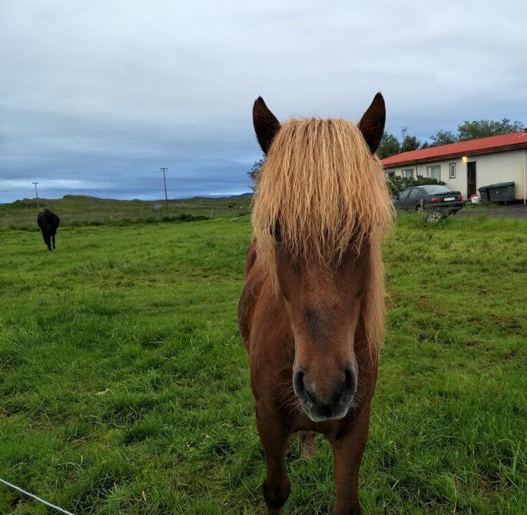 Borgannes to Reykolt, Iceland