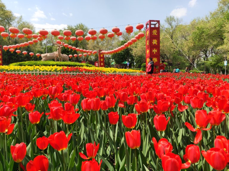 Mummies,Music and a Park