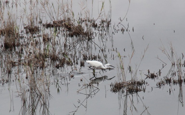 Natural Bulgaria at its Best